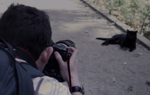 A man taking a picture of a cat